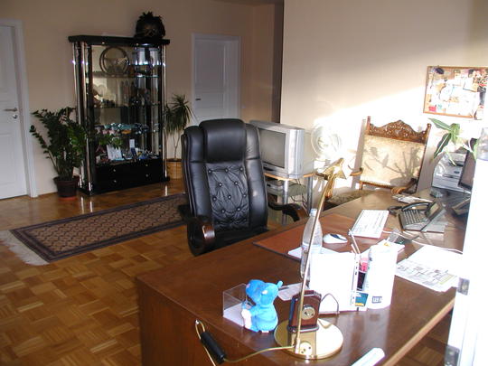 LUXOR Immobilien Wiesbaden Villa