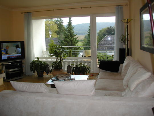 Immobilien Wiesbaden EFH / Villa von LUXOR 