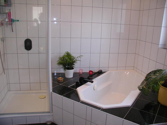 Wiesbaden Einfamilienhaus von LUXOR in Wiesbaden Immobilien-Makler