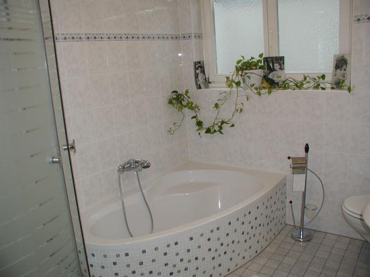 Expose mit Bildern H�user aus Wiesbaden - Immobilienmakler Luxor Liegenschaften