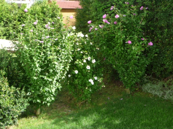 Text Bild 9